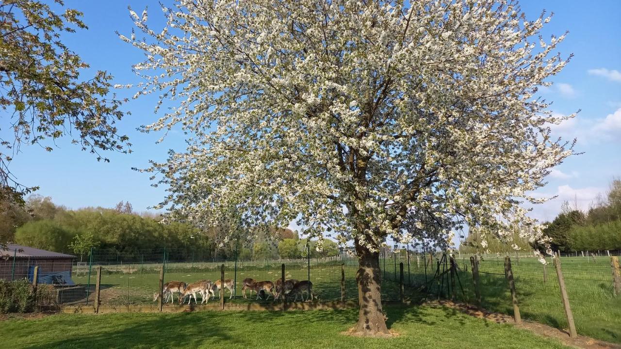 Natuurschoon Vakantiewoning Moorsel Dış mekan fotoğraf